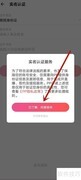PP直播入门指南