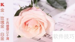 K金、玫瑰金、白金快速分辨
