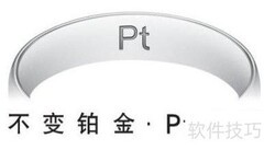 白金标志PT解析