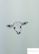 简笔画教程：轻松画一头老牛