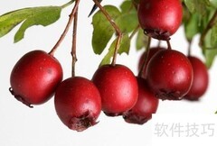 巧煮老牛肉的秘诀