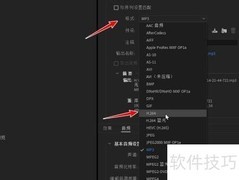 PR导出H264比特率设置技巧