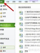 PROJECT日期格式设置技巧