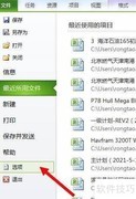PROJECT日期格式设置技巧
