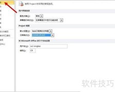 PROJECT日期格式设置技巧