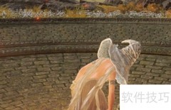 艾尔登法环葛孚雷肖像获取方法