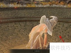 艾尔登法环葛孚雷肖像获取指南