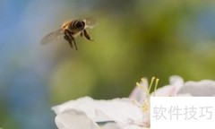蜜蜂如何处理花粉？