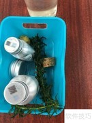 DIY生态鱼缸制作指南