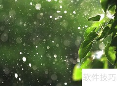 芒种时节的英文表达