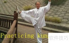 练功夫用英语怎么说