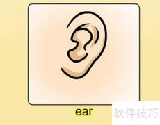 以E开头的常见英文单词