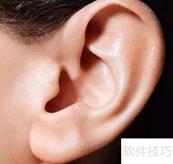 耳朵英语发音怎么读