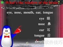 ear怎么读？一分钟学会正确发音