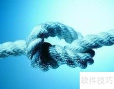 初创团队高效员工培训指南