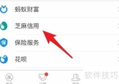 如何取消支付宝芝麻协议