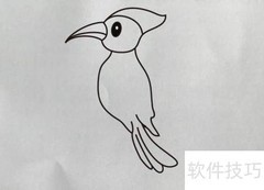 啄木鸟简笔画教程