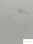 卡通啄木鸟简笔画教程