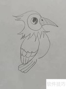 卡通啄木鸟简笔画教程