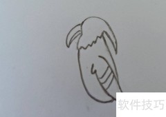 如何画一只简单的啄木鸟