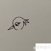 啄木鸟简笔画步骤详解