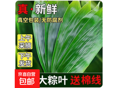 端午特惠！50片150g天然箬叶仅售4.99元