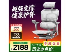 Ergonor金豪E2代人体工学椅