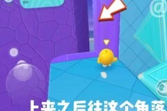 蛋仔派对：凤凰蛋通关秘籍