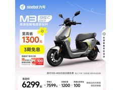 九号M3 95c MAX电摩6199