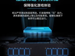 储奇黑金DDR4内存条，立减100仅799元