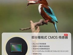 尼康Z6 III全画幅微单优惠