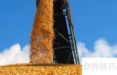 玉米质检流程详解