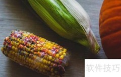 玉米质检流程详解