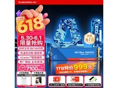 闪迪SN5100 4TB PCIe4.0 SSD