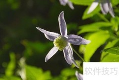 充实工作的秘诀