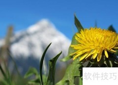 充实工作的秘诀