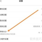 雷速体育字体大小查找方法
