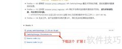 SwitchyOmega使用教程