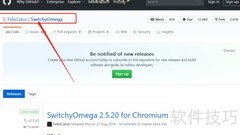 SwitchyOmega使用教程