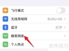 苹果SIM卡设置方法