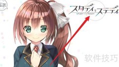 Study Steady高效学习攻略