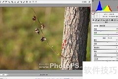 DNG照片后期处理技巧
