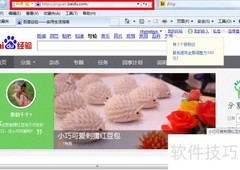 去除IE地址栏360图标方法