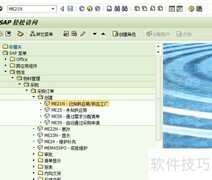 SAP采购订单创建指南