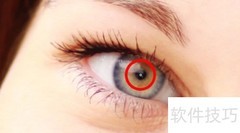 PS缩放工具使用技巧