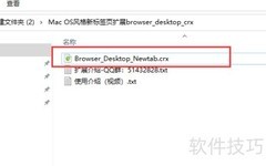 Browser Desktop插件安装指南