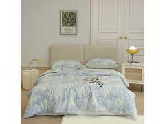 柳庭纯棉贡缎空调被169元