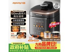 九阳5L电压力锅50H160京东低价促