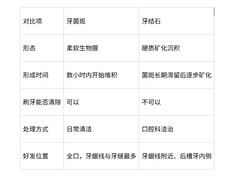 牙结石预防电动牙刷推荐：从菌斑控制入手