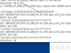 Linux配置IPv4地址方法